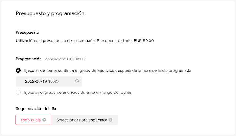presupuesto de tiktok ads
